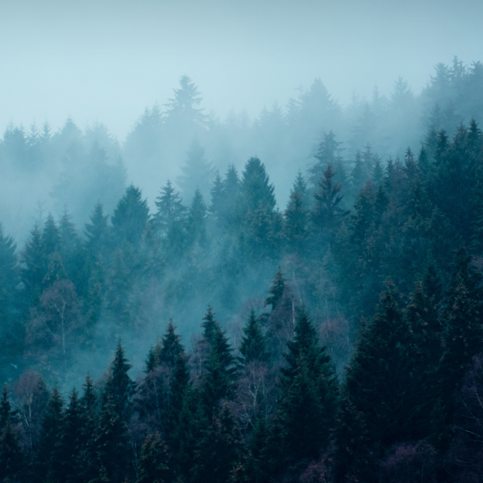 Urlaubshinweis 2025_26_980x980